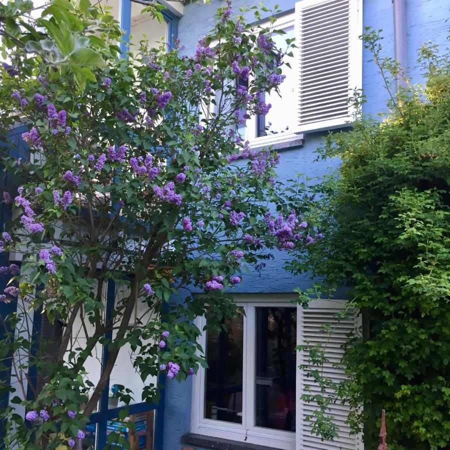 Апартаменты Blaues Haus Niederdorfelden Экстерьер фото